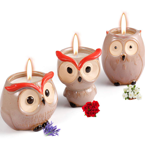 Scented Candles Sets Gifts for Women - 3 Pack Novelty Owl Natural Soy Candles for Home Scented, Aromatherapy Candles Bulk for Garden, Porch, Outdoor Patio Decor (Gardenia, Lavender, Rose)